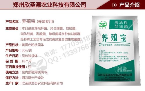 澳门红薯渣做饲料可以吗|价格合理的欣圣源养殖宝欣