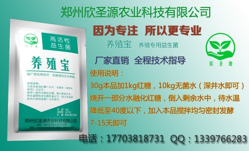 发酵红薯渣批发：实惠的发酵红薯渣供应尽在欣圣源