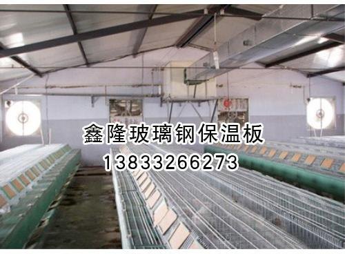 保温兔舍的特点及应用