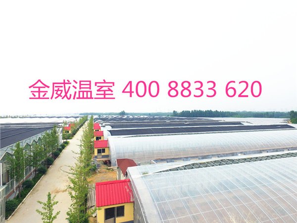 金威温室 建造的 温室大棚种类 及介绍