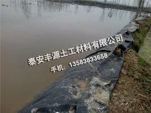 海南藕池专用膜：山东好的藕池专用膜供应出售
