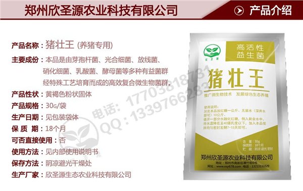 预防减少消除猪舍蚊蝇滋生的方法