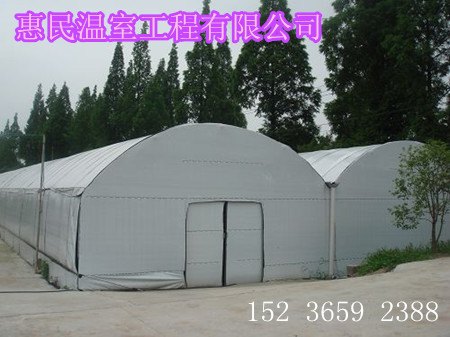 蔬菜大棚 高标准蔬菜大棚 食用菌大棚