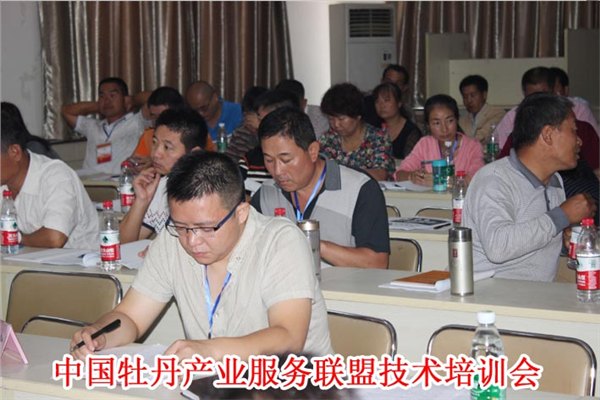 中国牡丹产业服务联盟观赏牡丹嫁接技术培训