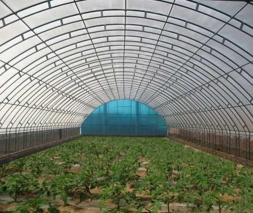 河南蔬菜大棚设计_安阳蔬菜大棚首选