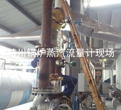 厦门压力补偿蒸汽流量计,的确与众不同