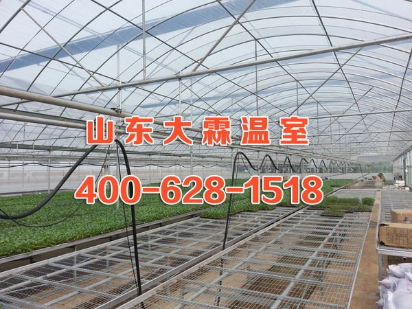 青州薄膜连栋温室制作