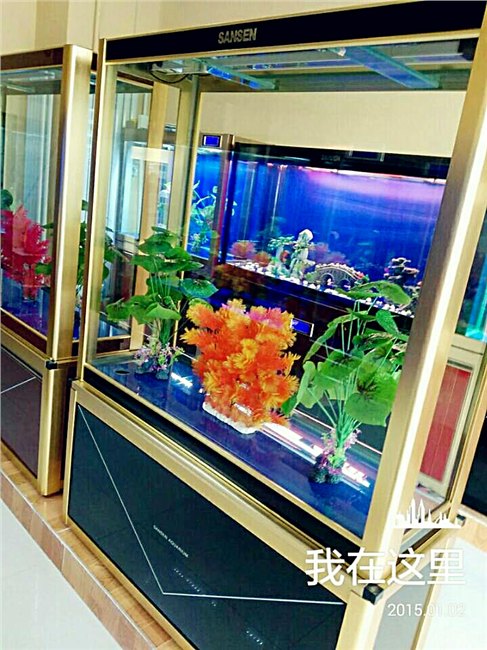 兰州水族箱批发  武威水族箱生产  青海水族箱批