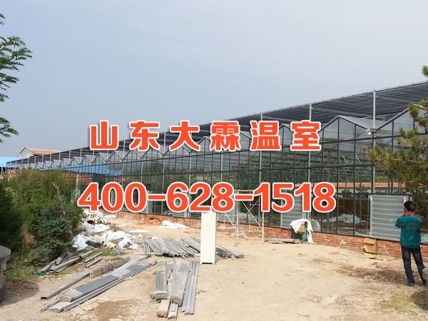 潍坊玻璃温室大棚建设厂家