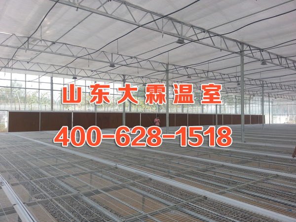 潍坊玻璃温室大棚工程