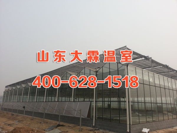 潍坊玻璃温室供应 建设