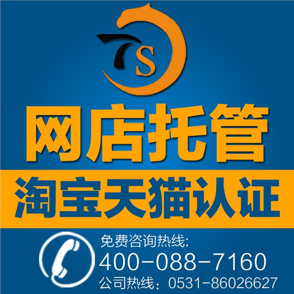 济南淘商网络科技专业网店托管专家