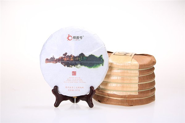 云南普洱生茶加盟*优质厂家我选极普号