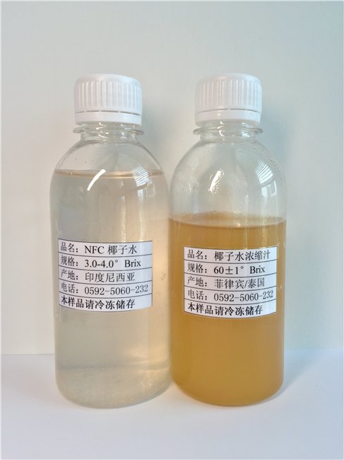 冷冻椰子水浓缩汁 冷冻浓缩椰子水
