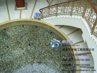 常州市工厂景观鱼池水净化工程
