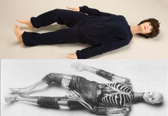 供应X射线仿真人培训模体（X射线仿真人教学模体）