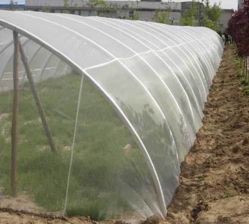 防虫网价格_脐橙防虫网罩