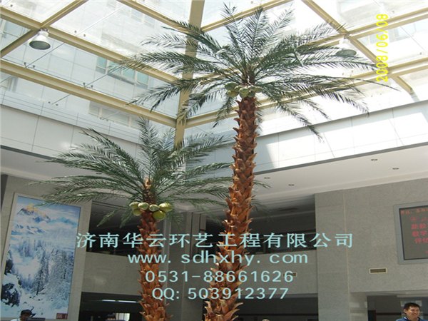 江苏仿真棕榈树制作，口碑好的仿真棕榈树供应商就在