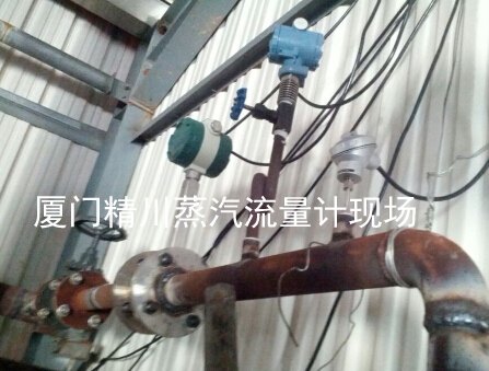 辽宁气体质量流量计,精川天天见
