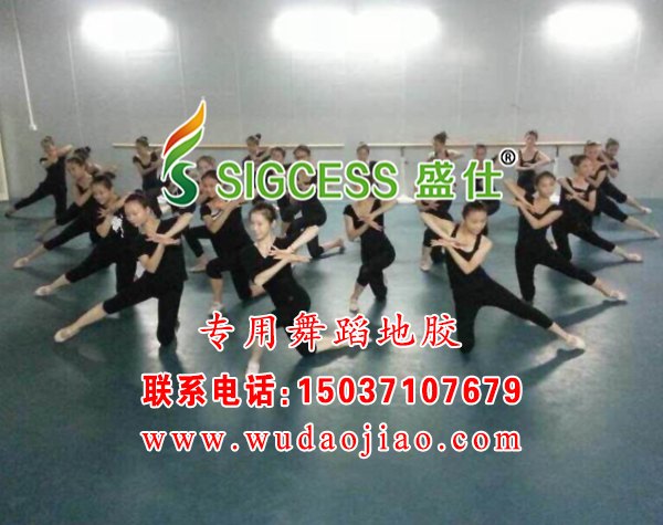 舞蹈房弹性地板胶哪个牌子好？