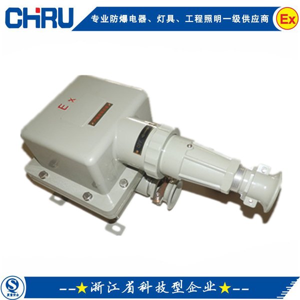 CRBCD54-63X防爆插接装置