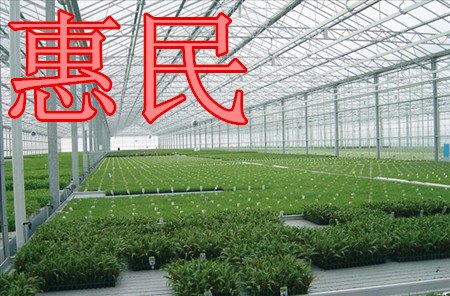 郑州新型节能日光温室大棚技术 养殖大棚设计制造
