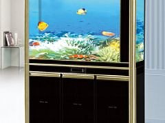 哪里可以买到质量好的生态水族馆：巴中鱼缸