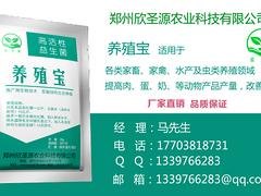 哪里能买到抢手的养殖宝，专业的养猪专用益生菌