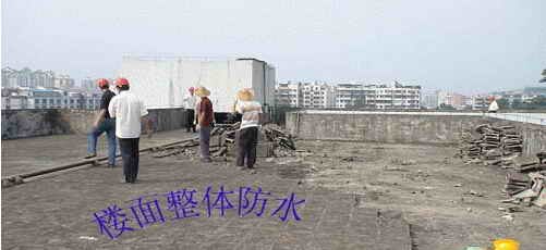 观澜楼顶防水公司,观澜楼面防水公司,观澜房顶防水公司
