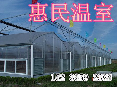登封冬暖式温室大棚 蔬菜大棚构建 火龙果大棚