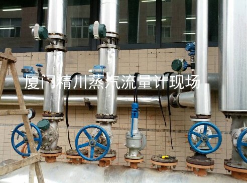 深圳生物制药蒸汽涡街流量计,精川你身边的流量计