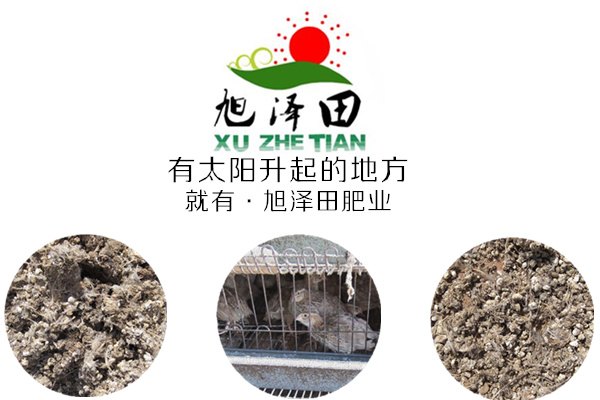 哪里有经销供应鹌鹑粪-旭泽田有机肥--价格划算的