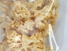价格划算的绣球菌，上哪买优质绣球菌