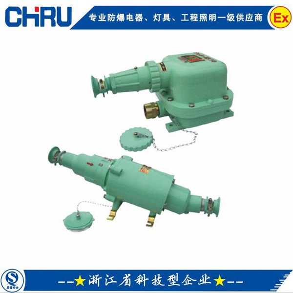 CRBCD-54防爆插销