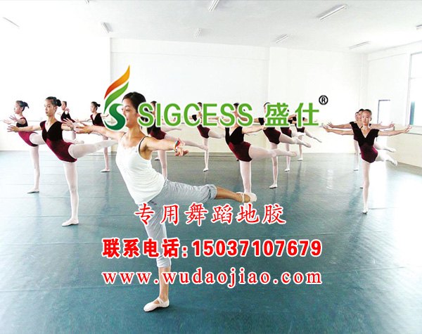 舞蹈专用地板 舞蹈地板的价格