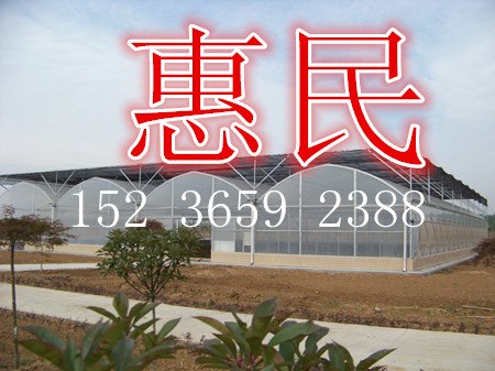 郑州半地下式温室大棚建设 山西蔬菜大棚图片