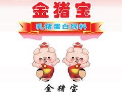 优质的金典金猪宝：报价合理的金典金猪宝饲料哪里有