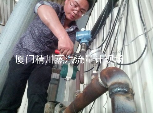 福建化工原料涡街流量计,行业大品牌