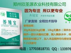 南阳欣圣源养殖宝哪里有供应——优惠的养殖专用益生