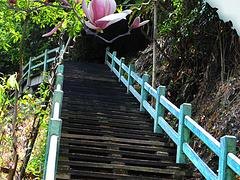 中国四会旅游_广东信誉好的瀑布奇石公司