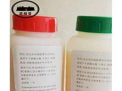厦门供应优质的工业青红胶   _河南高品质工业青