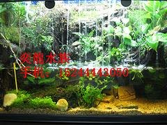 山东知名的定做生态鱼缸厂家——生态鱼缸定制价格