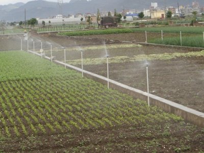 山东德州地区厂家直销大田喷灌各式喷头/微喷带