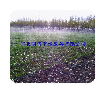 专业斜孔微喷软管报价-微喷带-大田专用/包您满意