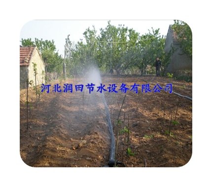 小麦田专用微喷带/报价/生产厂家