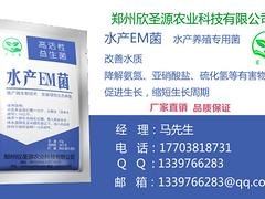 水产养殖益生菌代理加盟 南阳划算的鱼塘肥水益生菌