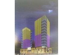 楼宇亮化优选兰州乐恒 天水楼宇亮化公司