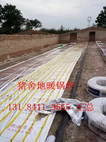 猪舍地暖温控锅炉报价，猪舍地暖温控锅炉省煤型