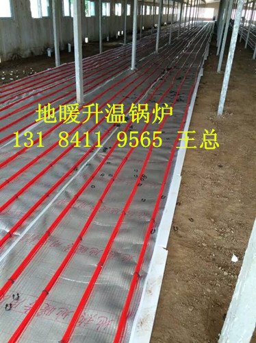 猪舍锅炉价格，猪舍锅炉节能省煤型 