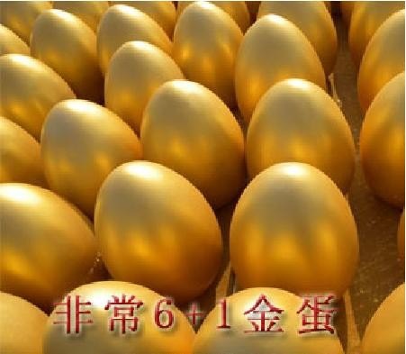 巢湖非常6+1金蛋_质量好的非常6+1金蛋在临沂